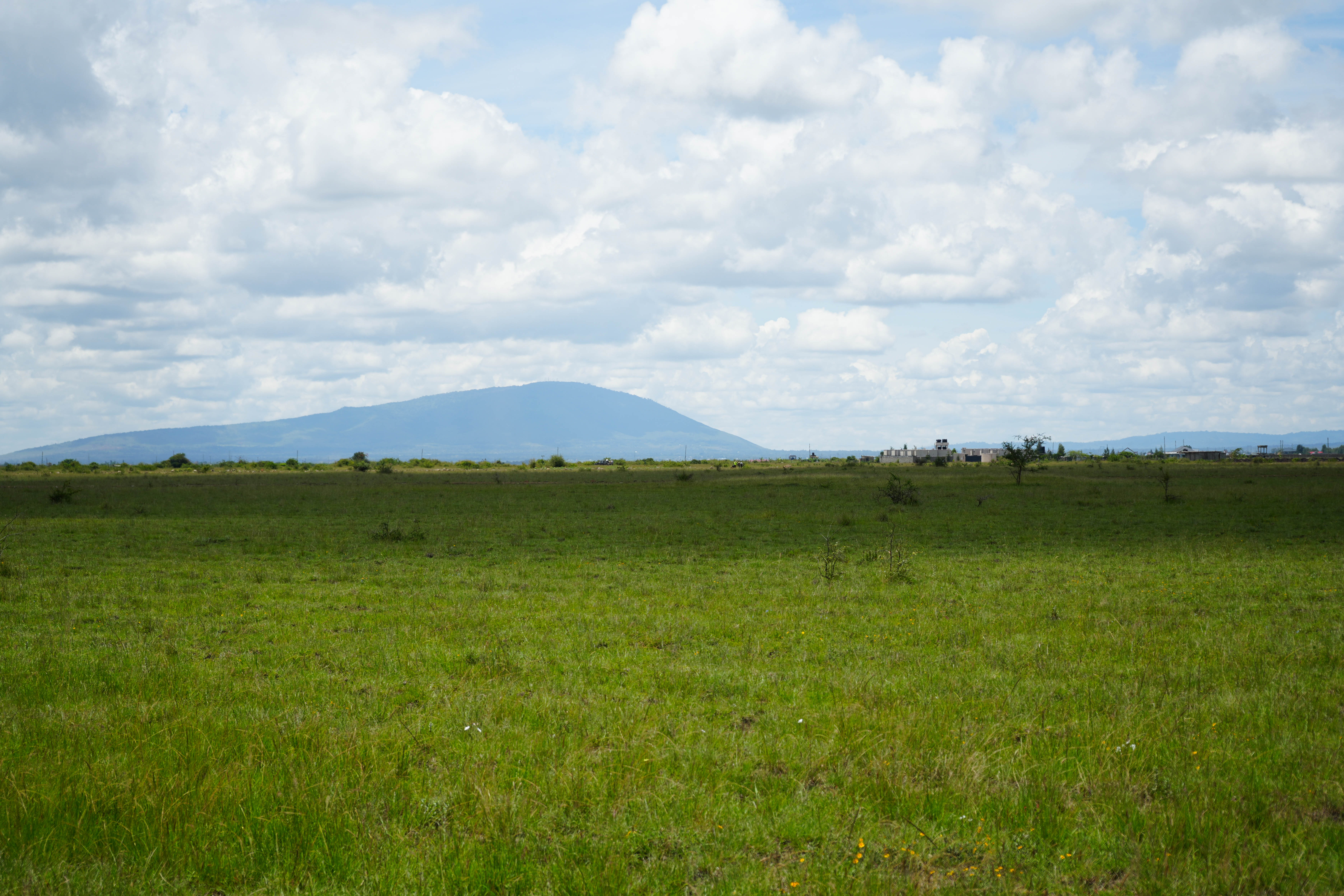 Attention Investors & Developers!